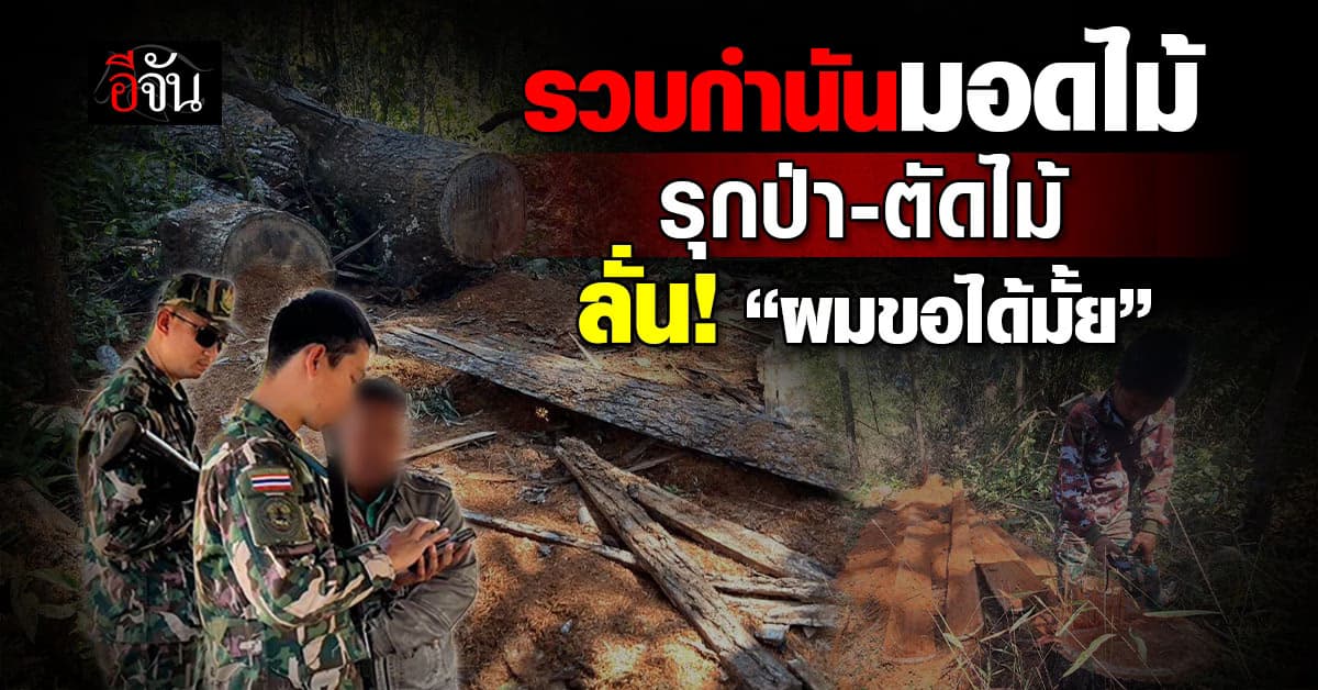 รวบกำนันมอดไม้ รุกป่า-ตัดไม้ ลั่น! “ผมขอได้มั้ย”