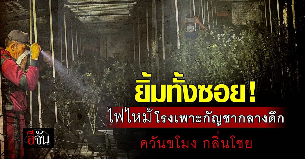 ควันกัญชาเป็นเหตุ ! ไฟไหม้โรงเพาะกัญชากลางดึก ชาวบ้านรับผลกระทบ มึนเมา ตาเยิ้ม