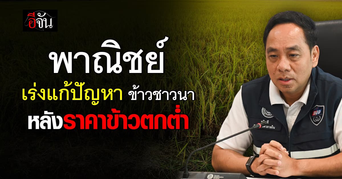 “พาณิชย์” เร่งช่วยชาวนา แก้ปัญหาราคาข้าวตกต่ำ