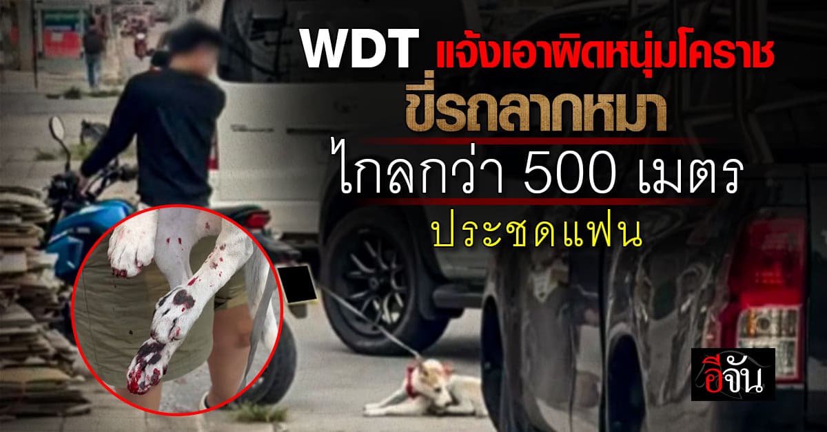 WDT ไม่ปล่อยผ่าน! แจ้งเอาผิดหนุ่มใจเหี้ยม ขี่รถลากหมา ไกลกว่า 500 เมตร ประชดแฟน
