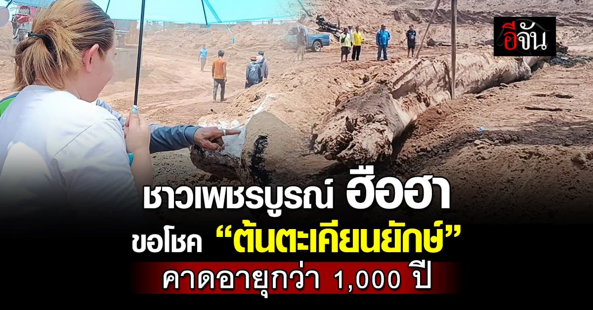 ชาวเพชรบูรณ์ ฮือฮา! ขอโชค “ต้นตะเคียนยักษ์” คาดอายุกว่า 1,000 ปี