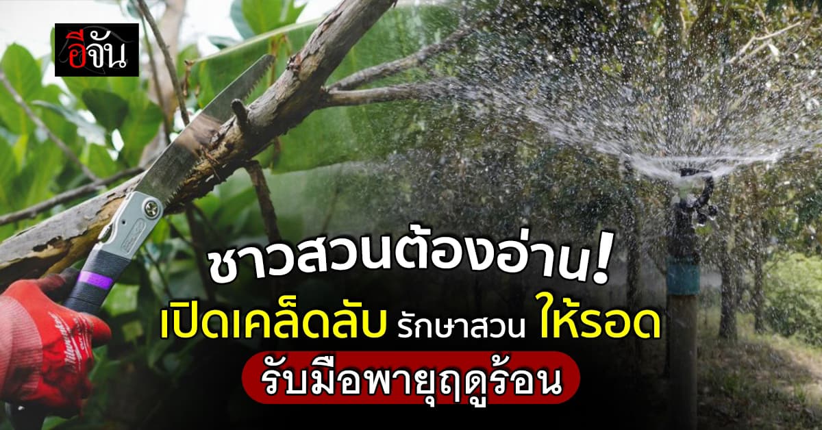 กรมส่งเสริมการเกษตร แนะวิธี ดูแลสวน รับมือ พายุฤดูร้อน หลังสงกรานต์