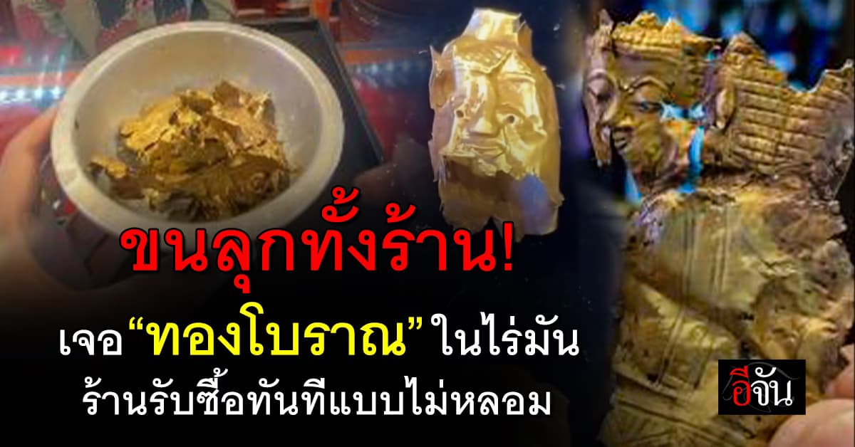 ผงะ! ป้าวัย 67 เจอ”ทองโบราณ” ในไร่มัน ร้านทองเห็นรีบรับซื้อทันที