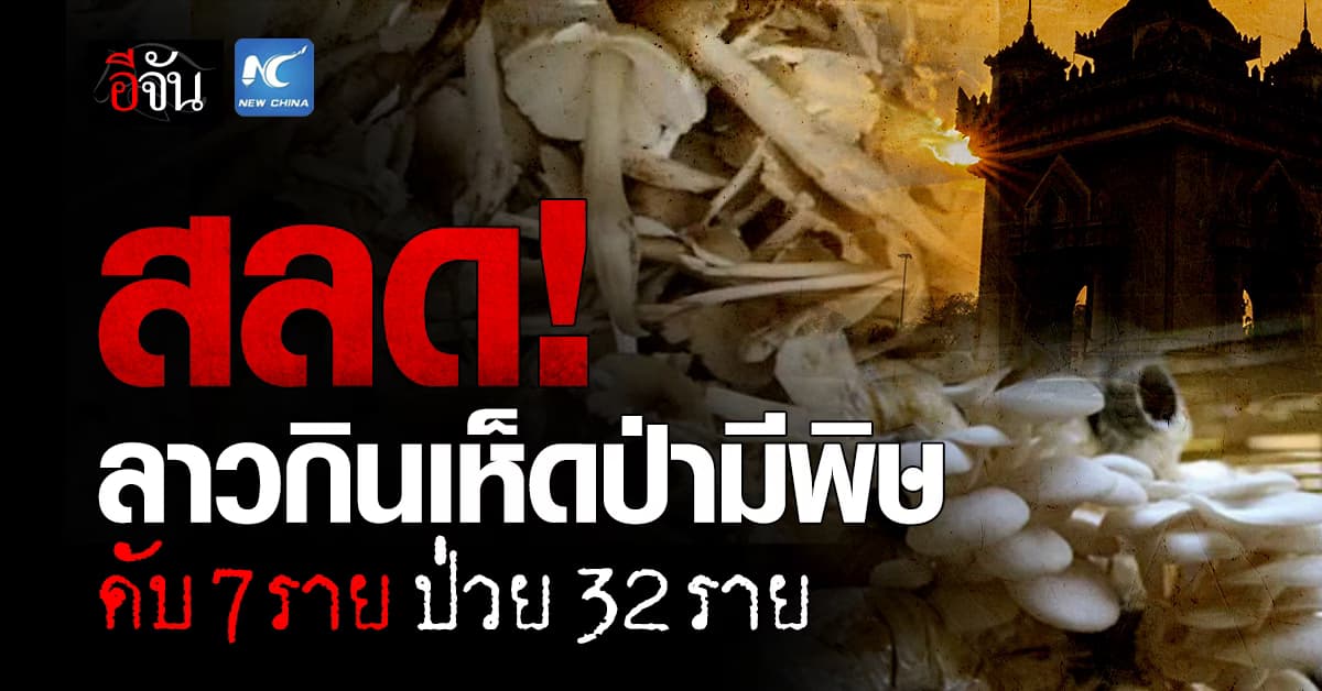 สลด! คนลาวกินเห็ดป่ามีพิษ ดับแล้ว 7 ราย ป่วยสะสม 32 ราย