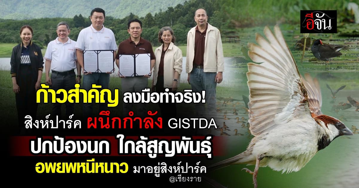 สิงห์ปาร์ค จับมือ GISTDA ปกป้องนกใกล้สูญพันธ์ หนีหนาวมาอยู่สิงห์ปาร์ค