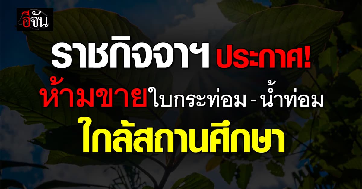 ราชกิจจาฯ ประกาศ! ห้ามขายใบกระท่อม–น้ำท่อม ใกล้สถานศึกษา 1,000 เมตร