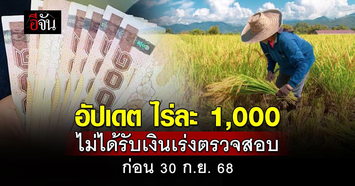 อัปเดต ไร่ละ 1,000 เกษตรกรไม่ได้รับเงินเร่งตรวจสอบก่อน 30 ก.ย. 68
