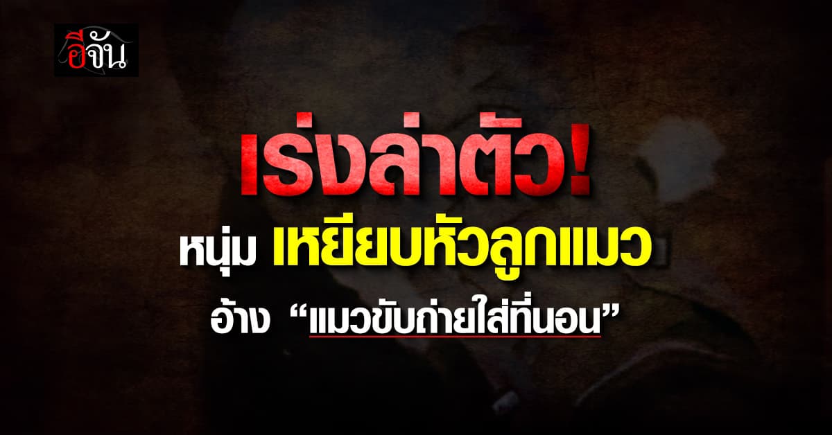 โหดเกินไป? หนุ่ม เหยียบหัวลูกแมวจนร้องลั่นสุดสะเทือนใจ