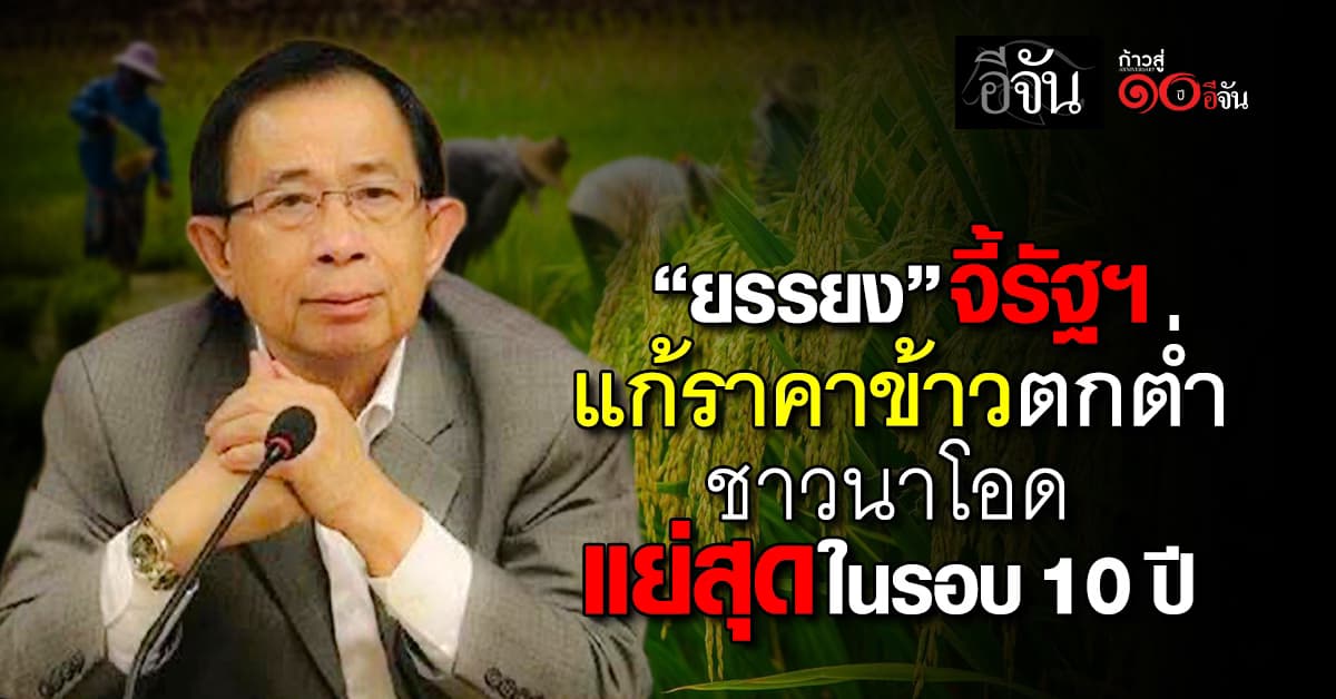 “ยรรยง” จี้รัฐฯ แก้ราคาข้าวตกต่ำ ชาวนาโอด แย่สุดในรอบ 10 ปี
