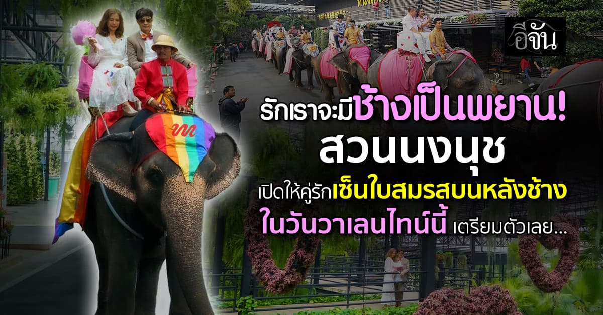 สวนนงนุช เปิดรับคู่รักร่วมจดทะเบียนสมรสบนหลังช้าง