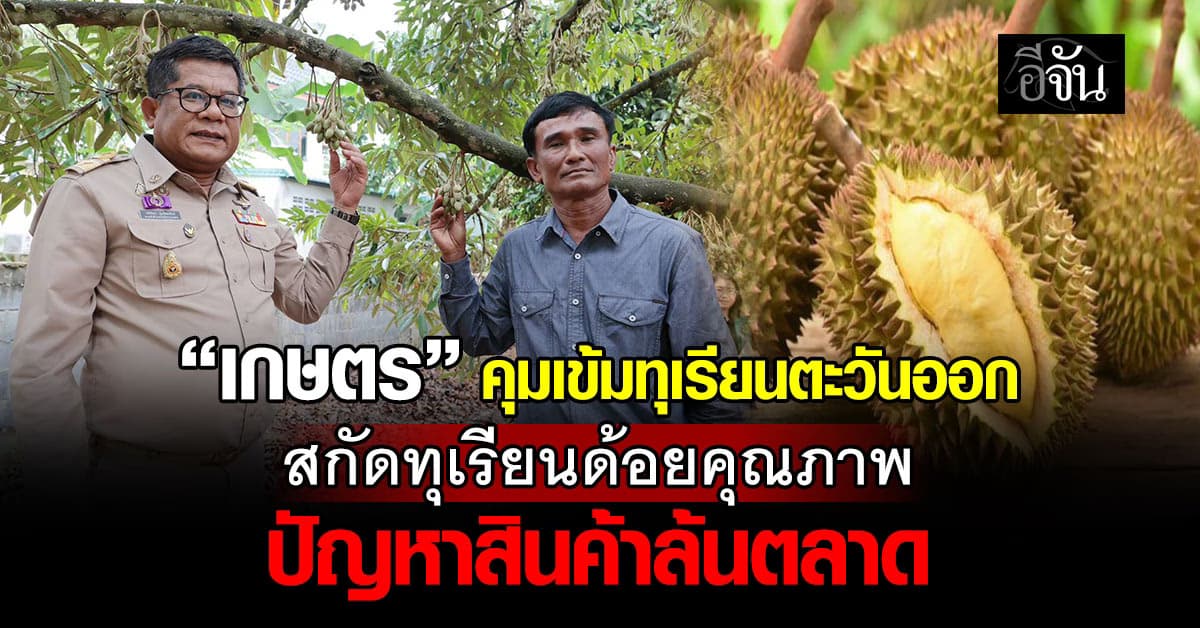 “เกษตร” คุมเข้มทุเรียนตะวันออก สกัดทุเรียนด้อยคุณภาพ – ปัญหาสินค้าล้นตลาด