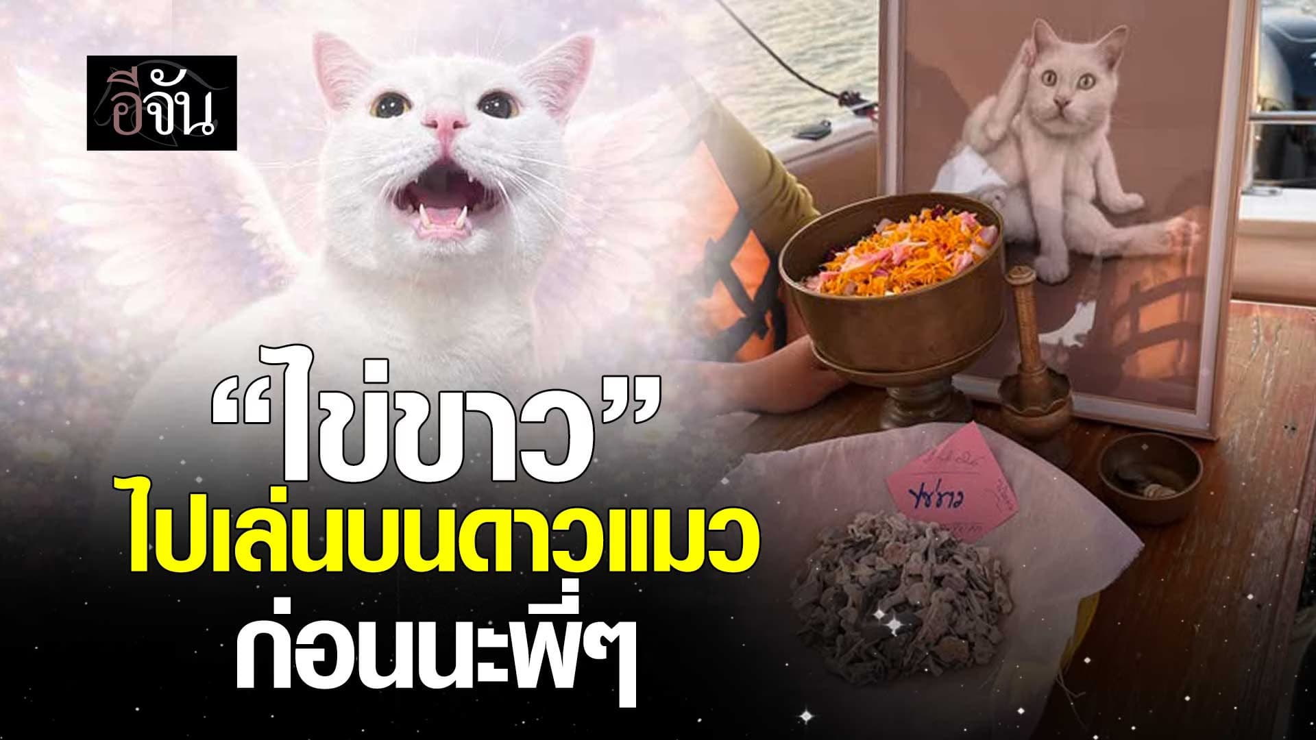 🎬 “ไข่ขาว” ไปเล่นบนดาวแมว ก่อนนะพี่ๆ