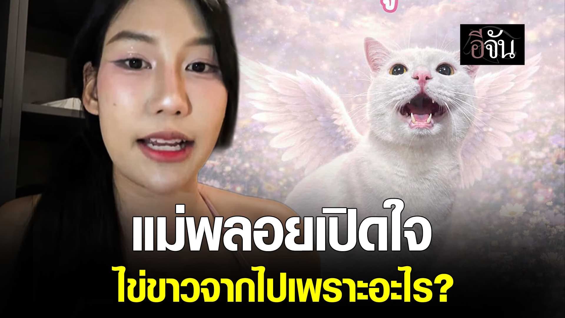 🎬 แม่พลอยเปิดใจ ไข่ขาว จากไปเพราะอะไร?