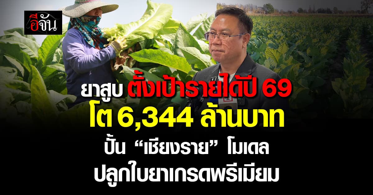ยาสูบ ตั้งเป้ารายได้ปี 69 โต 6,344 ล้านบาท ปั้น “เชียงราย” โมเดล ปลูกใบยาเกรดพรีเมียม