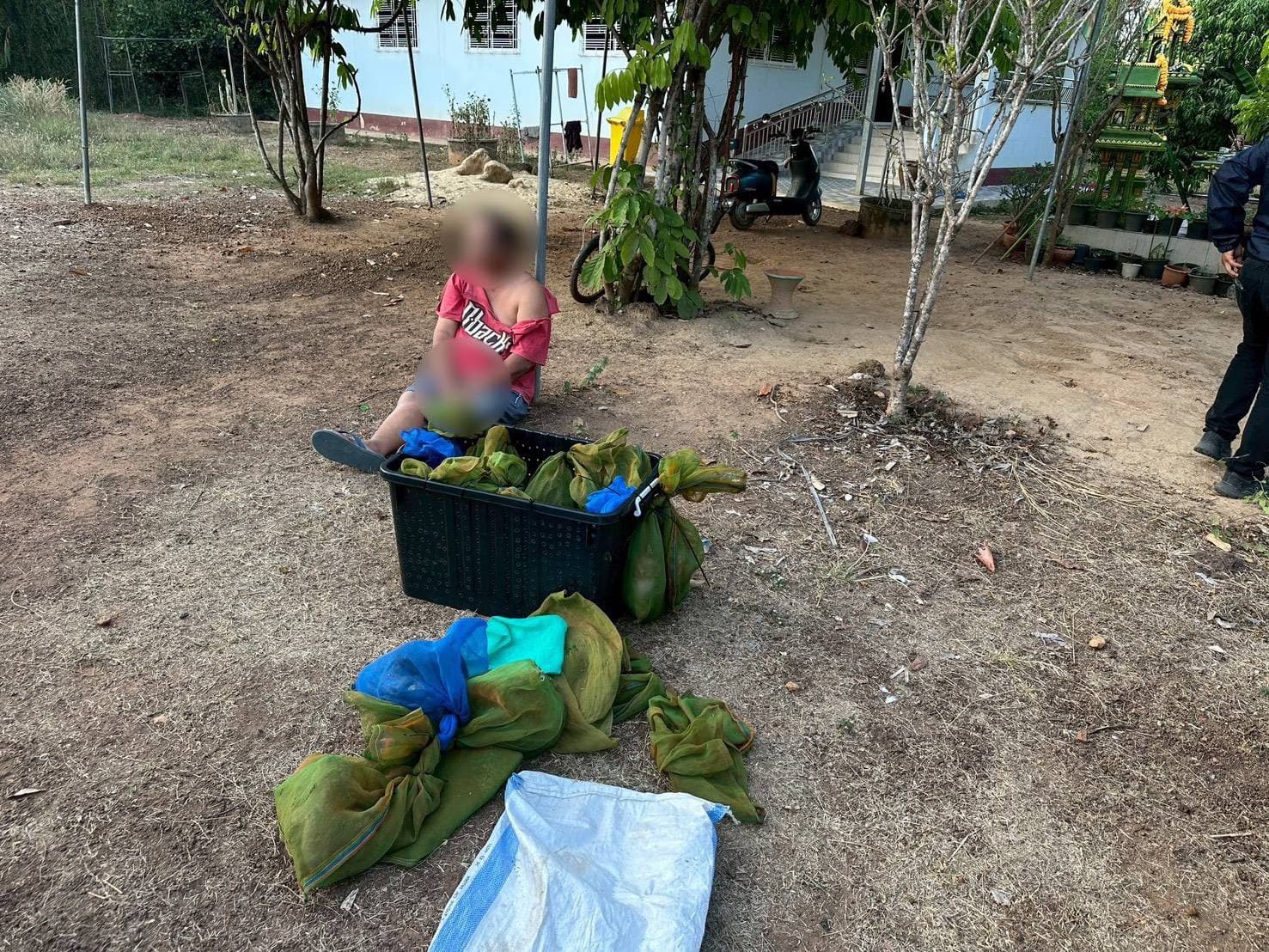 CIB สกัดจับขบวนการค้าสัตว์ป่าข้ามชาติ หลังเตรียมส่งลิงแสมออกชายแดนสระแก้ว