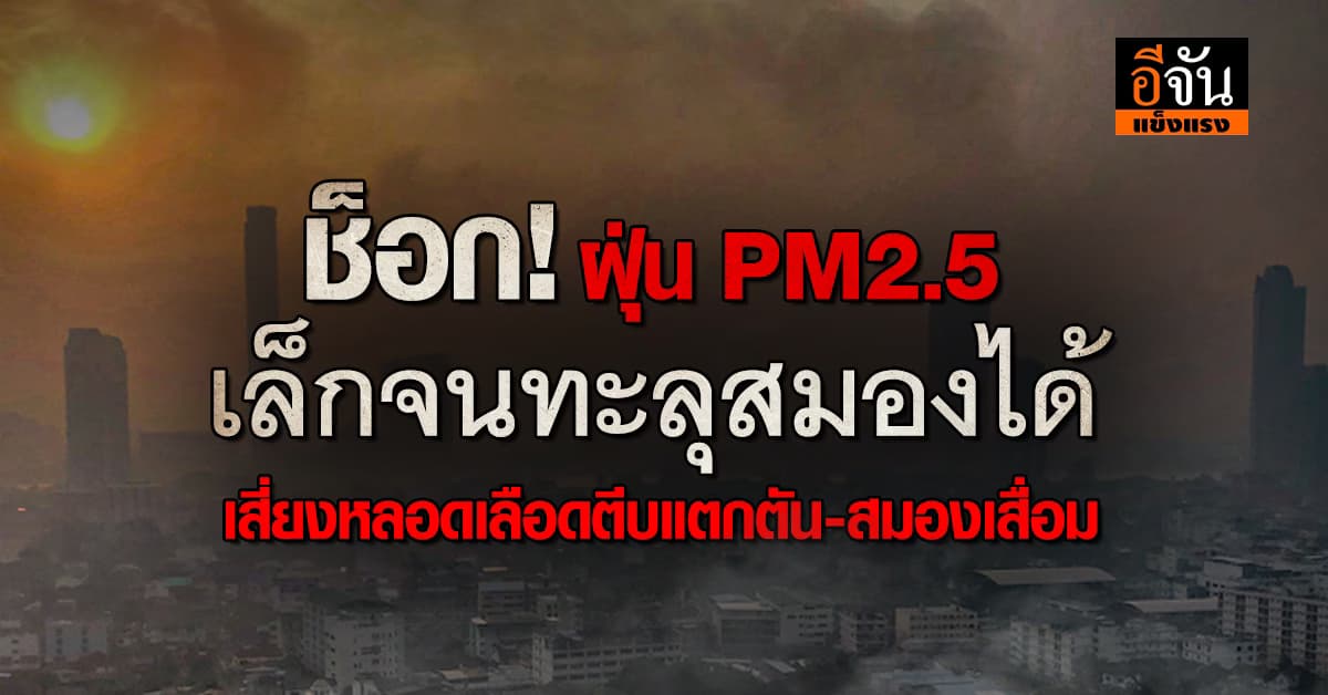 ช็อก! งานวิจัย ชี้ PM2.5 ทำลายสมองได้ เพิ่มความเสี่ยงป่วยสมองมากขึ้น