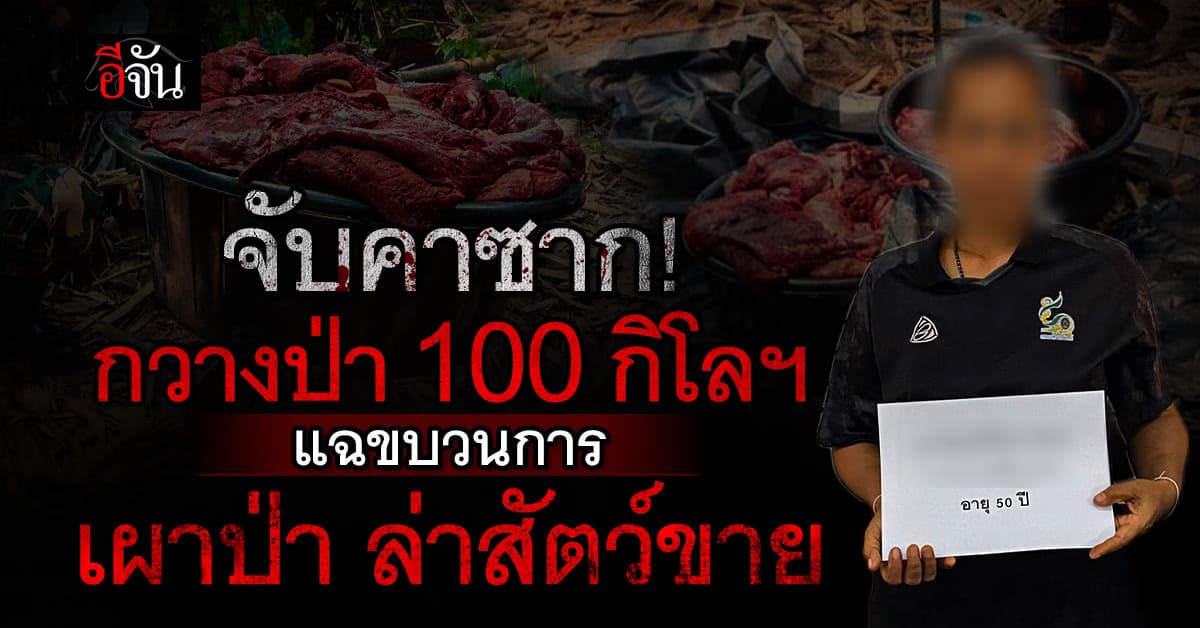 อช.ทองผาภูมิ รวบหญิงวัย 50 คาซากกวางป่ากว่า 100 กก. แฉขบวนการเผาป่าล่าสัตว์